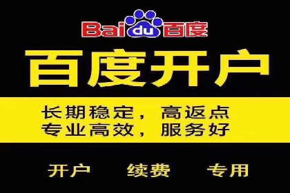 搜索引擎营销（SEM）的投放策略与效果评估——以某行业领先企业的案例分析
