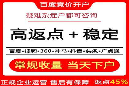 SEM专员实战案例解析